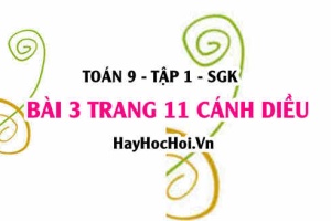 Bài 3 trang 11 Toán 9 tập 1 Cánh Diều